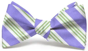 Homestead: Bow Tie - Purple/Green