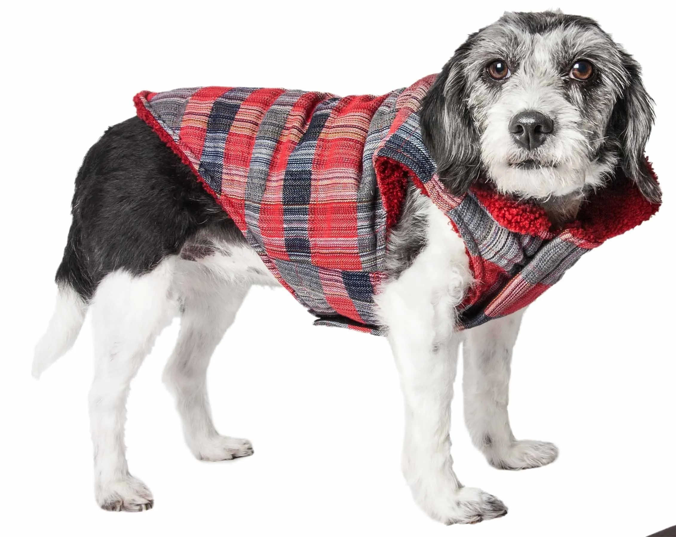 Pet Life 'Scotty' Tartan Classical Plaided Insulated Dog Coat Jacket