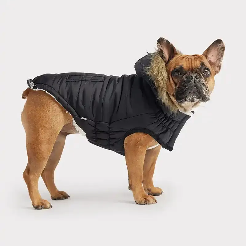 Urban Parka Dog Jacket